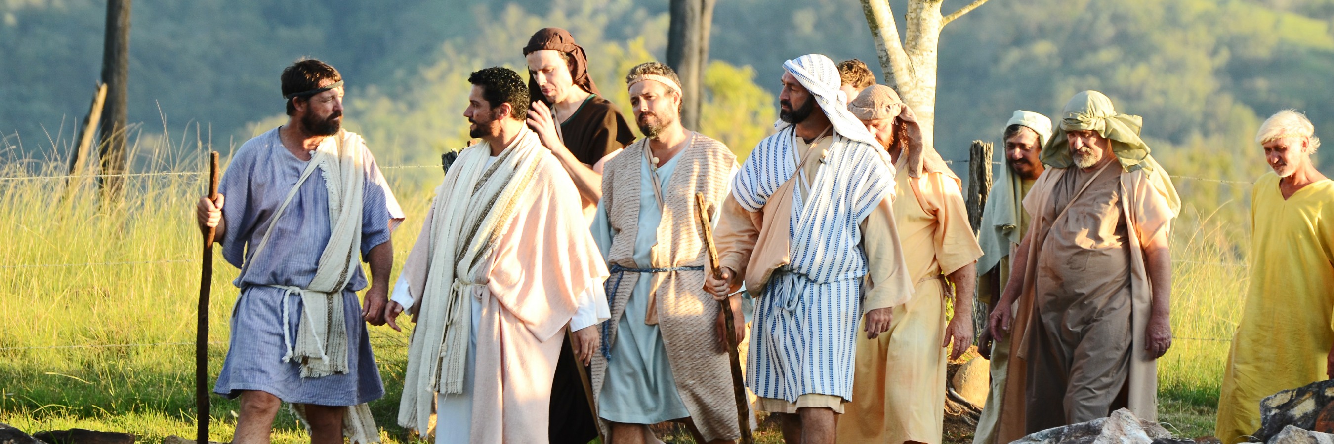 Jesus walks with disciples through glade