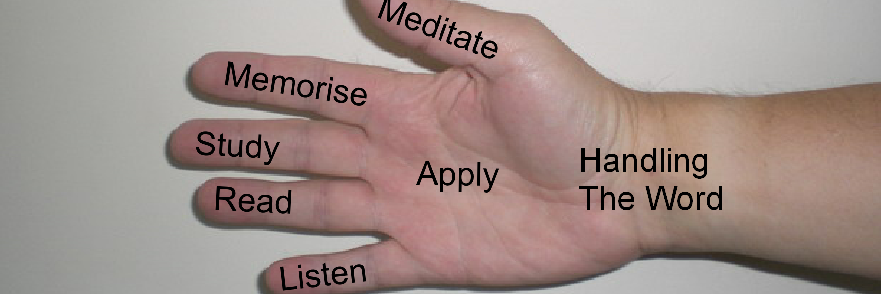 Alt Text