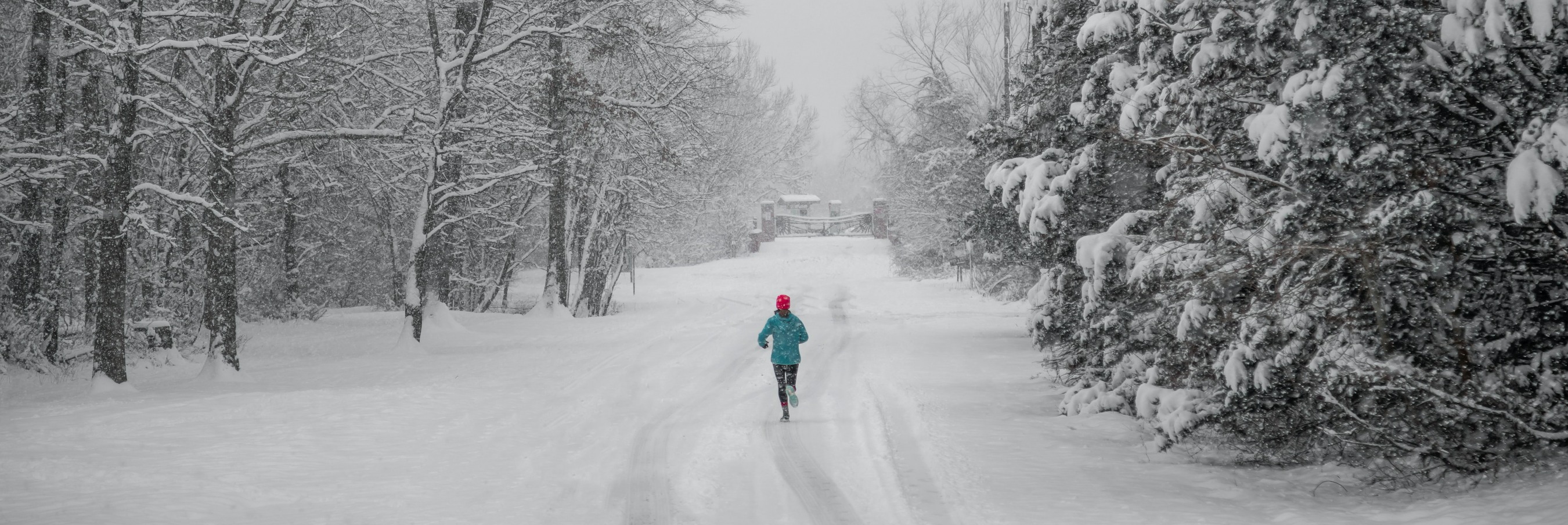 Running in snow through clearing in trees